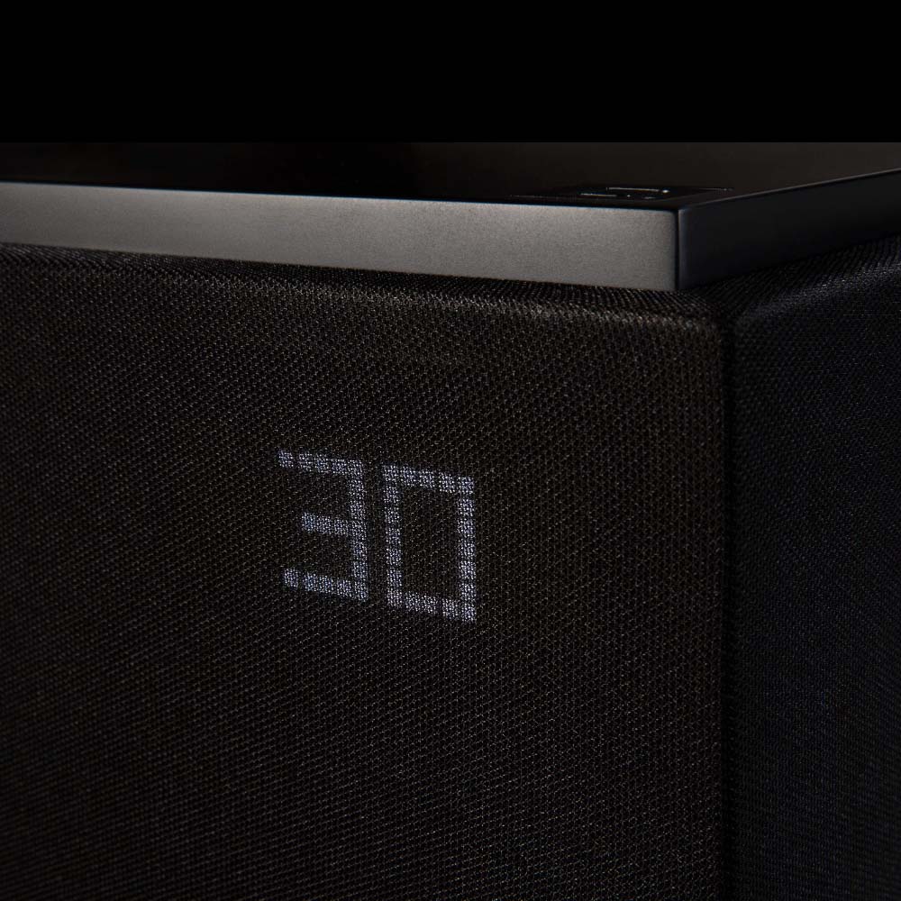 Subwoofer DN12 - Image 4